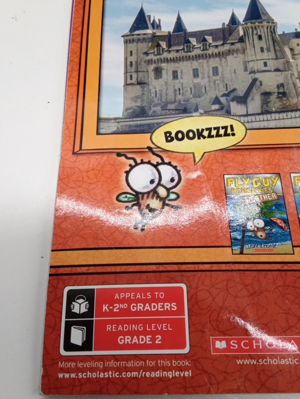 Fly Guy Level Reader Bundle Book#4 - Picture 6 of 6